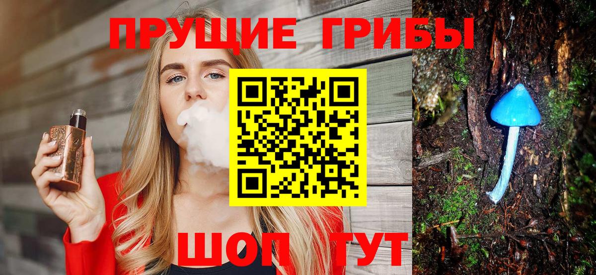 Галлюциногенные грибы Psilocybine cubensis Каспийск