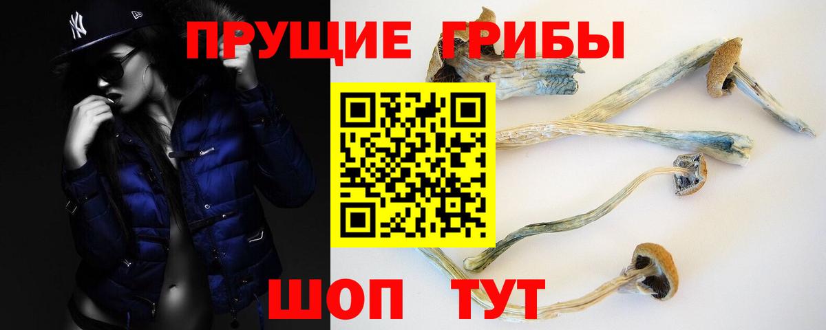 Псилоцибиновые грибы Psilocybe  купить   Каспийск  Вход с VPN 